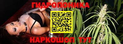 spice Комсомольск-на-Амуре