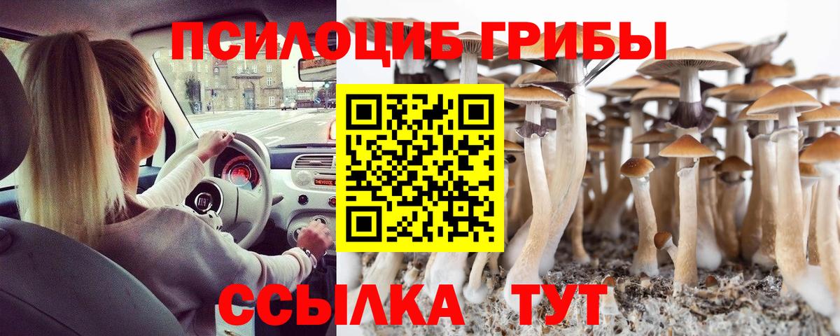 Псилоцибиновые грибы мицелий Когалым
