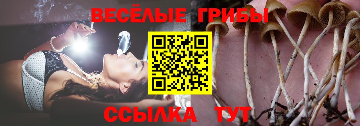 Псилоцибиновые грибы мухоморы  Вход с VPN  Когалым  Галлюциногенные грибы GOLDEN TEACHER 